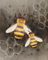 Bee Charmer 2 #53055 Bee Charmer 2 #53055