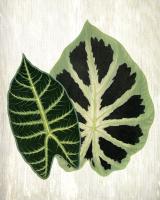 Botanical Greens 2 #53060 Botanical Greens 2 #53060