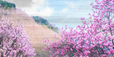 Hillside Blooms #53073 Hillside Blooms #53073