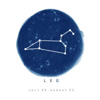 Leo Sky #53185 Leo Sky #53185