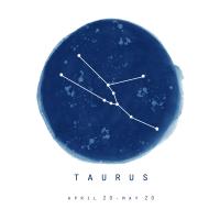 Taurus Sky #53188 Taurus Sky #53188
