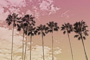 Desired Destinations 2 #53233