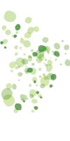 Turtle Spots #53266