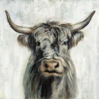 Highland Cow #53710 Highland Cow #53710