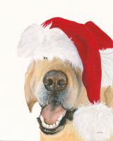 Santa Ruff #53727 Santa Ruff #53727