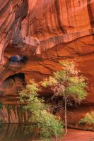 Neon Canyon III #53874