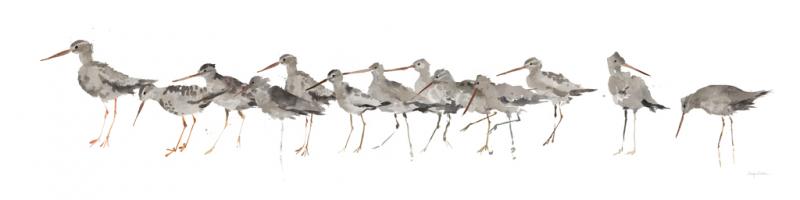 Watercolor Sandpiper Panel Gray #53965 Watercolor Sandpiper Panel Gray #53965