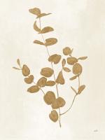 Botanical Study II Gold Crop #54312 Botanical Study II Gold Crop #54312