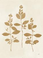 Botanical Study IV Gold Crop #54314 Botanical Study IV Gold Crop #54314