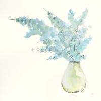 Plant Eucalyptus I #55033 Plant Eucalyptus I #55033