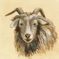 Highland Animal Sheep #55084 Highland Animal Sheep #55084