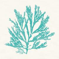 Pacific Sea Mosses I Aqua #55908 Pacific Sea Mosses I Aqua #55908