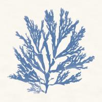 Pacific Sea Mosses I Light Blue #55912 Pacific Sea Mosses I Light Blue #55912
