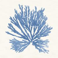 Pacific Sea Mosses II Light Blue #55913 Pacific Sea Mosses II Light Blue #55913