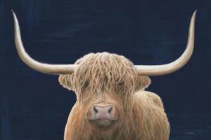 Highland Cow Navy #56160 Highland Cow Navy #56160