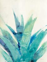 Cool Aloe #56276 Cool Aloe #56276
