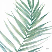 Tropical Blush V BG #56372 Tropical Blush V BG #56372