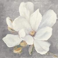 Serene Magnolia Light Gray #56378 Serene Magnolia Light Gray #56378