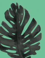 Tropical Palm I BW Green #56381 Tropical Palm I BW Green #56381
