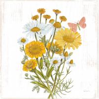 White Barn Flowers X Sq #56520 White Barn Flowers X Sq #56520