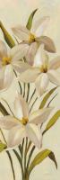 Elegant White Florals II Crop #59910 Elegant White Florals II Crop #59910
