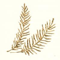 Gilded Fern IV #57198 Gilded Fern IV #57198