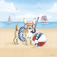 Summer Paws Patriotic II #57362 Summer Paws Patriotic II #57362