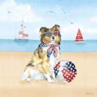 Summer Paws Patriotic V #57363 Summer Paws Patriotic V #57363