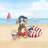 Summer Paws Patriotic III #57364 Summer Paws Patriotic III #57364
