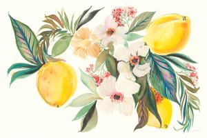 Citrus Summer I #58102 Citrus Summer I #58102