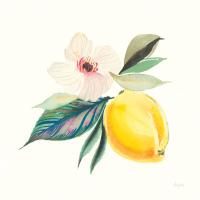 Citrus Summer III #58104 Citrus Summer III #58104