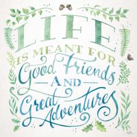 Good Friends and Great Adventures I #58226 Good Friends and Great Adventures I #58226
