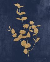Botanical Study II Gold Navy #58304