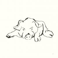 Line Pig I #58319 Line Pig I #58319