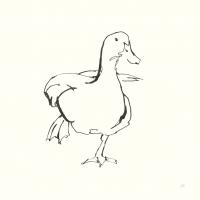 Line Duck II #58324 Line Duck II #58324