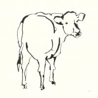 Line Cow #58325 Line Cow #58325