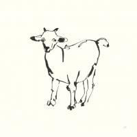 Line Goat #58326 Line Goat #58326