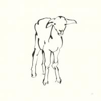 Line Lamb #58327 Line Lamb #58327