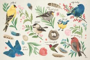 Bird Study I #58594 Bird Study I #58594