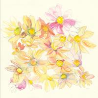 Pastel Garden Daisies #59879 Pastel Garden Daisies #59879