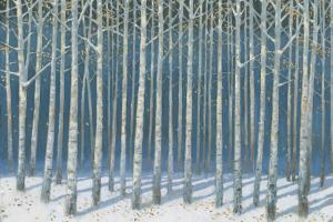 Shimmering Birches #60011 Shimmering Birches #60011