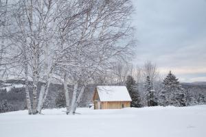 Barn with a View #60527