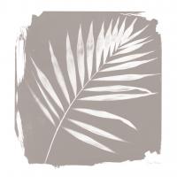 Nature By The Lake - Frond II Sq #60544 Nature By The Lake - Frond II Sq #60544