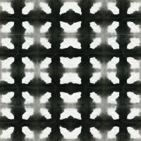Aquarelle Black and White III #60586