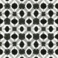 Aquarelle Black and White V #60588
