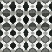 Aquarelle Black and White VIII #60591