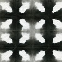 Aquarelle Black and White Square III #60599