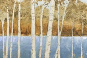 Lakeside Birches #60666