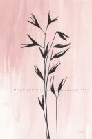Valentine Blush II #60973