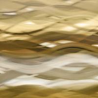 Splendid II #ACP112163 Splendid II #ACP112163